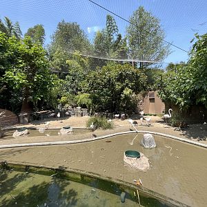 Flamingo Aviary