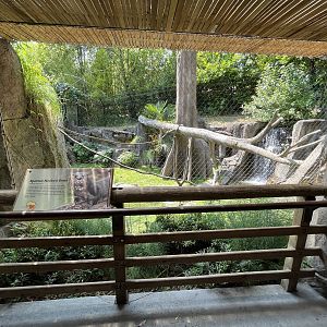 Spotted-Necked Otter Exhibit