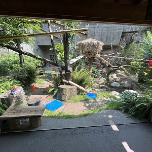 Red Panda Exhibit