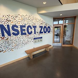 Insect Zoo (one small room)