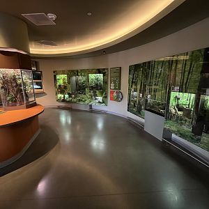 Insect Zoo (one small room)