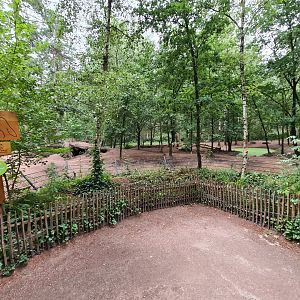 The Woods - Eurasian grey wolf enclosure