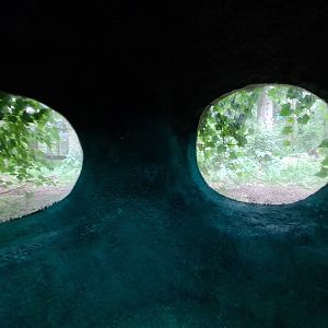 The Woods - Wolf viewing point from Badger den
