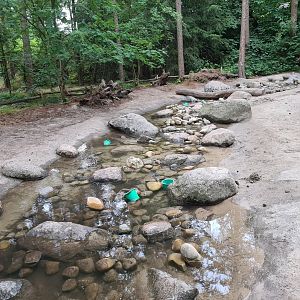 The Woods - Creek playground