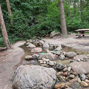 The Woods - Creek playground