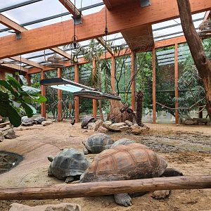 Tortoise greenhouse interior