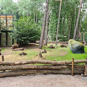 Dino forest - Aldabra giant tortoise yard and greenhouse
