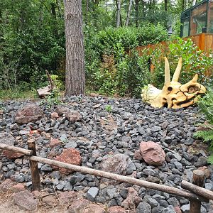 Dino forest - Volcanic yard
