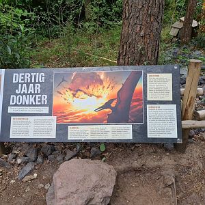Dino forest - "30 years of darkness" signage