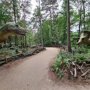Dino forest - T-rex and Triceratops standoff