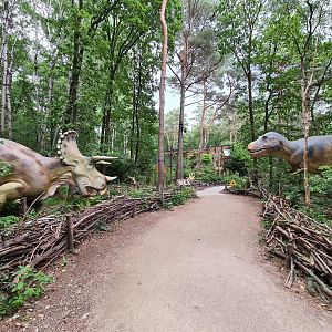 Dino forest - T-rex and Triceratops standoff