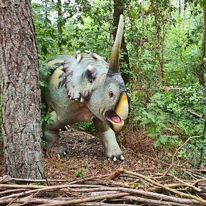 Dino forest - Unknown ceratopsid