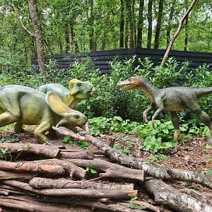 Dino forest - Raptor and Protoceratops