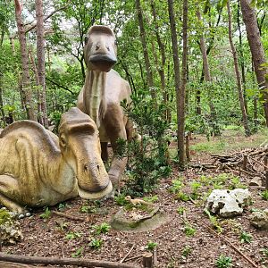 Dino forest - Maiasaura