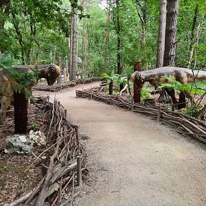 Dino forest - Pachycephalosaura