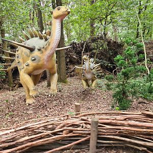 Dino forest - Kentrosaura