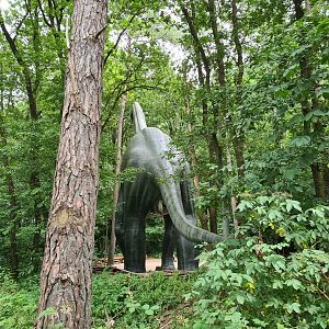 Dino forest - Giant Brachiosaurus