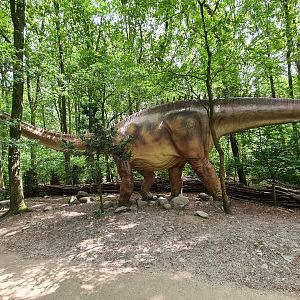 Dino forest - Giant Diplodocus