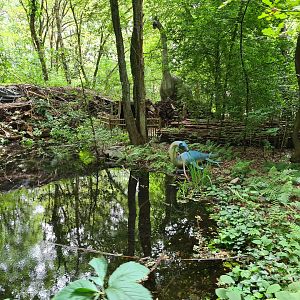 Dino forest - Plesiosaurus