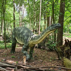 Dino forest - Plateosaurus