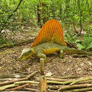 Dino forest - Dimetrodon