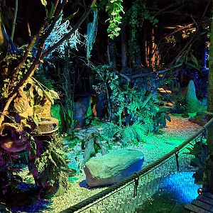 The Night - Look in first hall