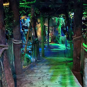 The Night - First hall