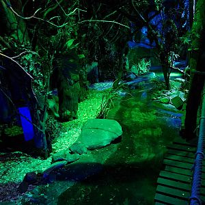 The Night - First hall