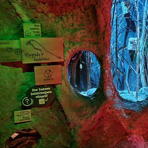 The Night - Feathertail glider and Cockroach enclosures