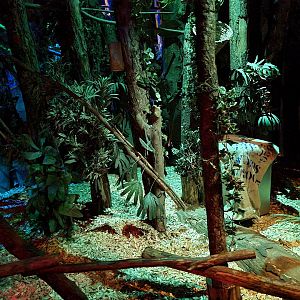 The Night - Second hall