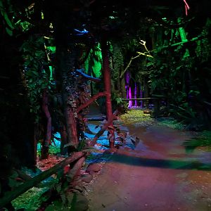 The Night - Third hall