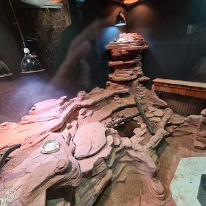 100.000 animal house - Desert enclosure