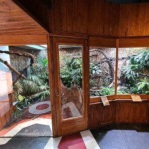 100.000 animal house - Skink enclosure