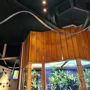 100.000 animal house - Ant tunnels