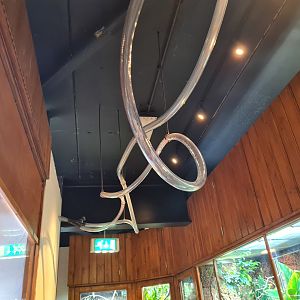 100.000 animal house - More ant tunnels