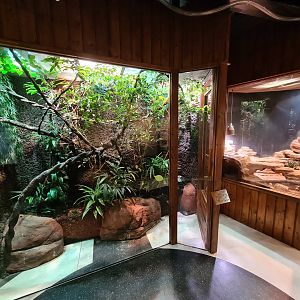 100.000 animal house - Fiji Banded iguana and Day geckos (left) and Gila monster (right)