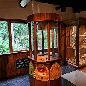 100.00 animal house - Wild honey bee enclosure