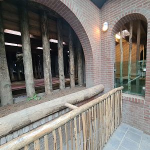 Indian Rhinoceros indoor enclosure