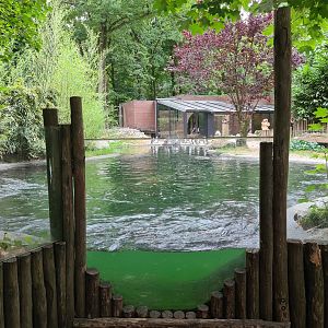 African penguin enclosure - Underwater viewing and Whirlpool