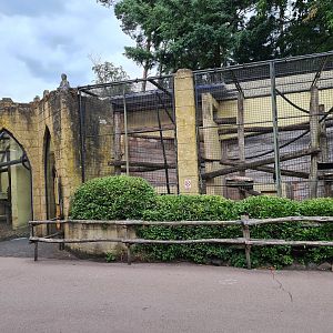 Pig-tailed macaque enclosure (oof again)