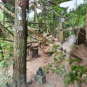Red panda enclosure