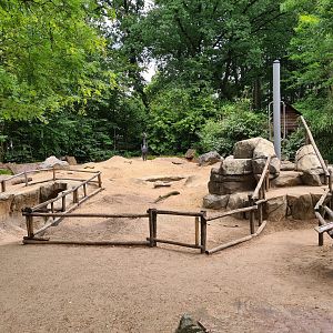 Prairiedog walkthrough