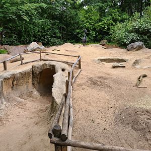 Themed viewing point in Prairie enclosure