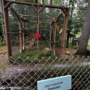 Tamarin Enclosure