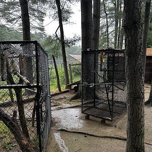 Cages for birds inside of Mara Habitat