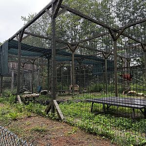 Bobcat Habitat