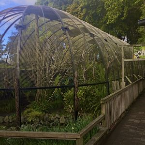 South American Precinct (Entrance/Aviary)