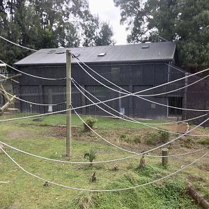 Chimpanzee Night House/Upper Paddock