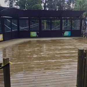 Chimpanzee Viewing Platform