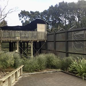 Chimpanzee Viewing Platform